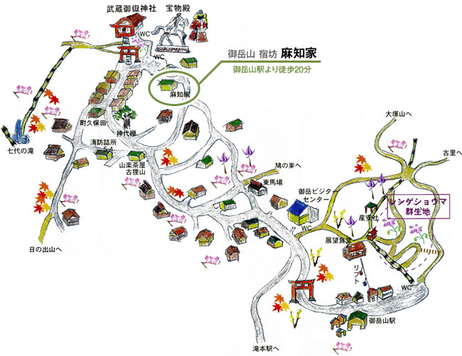 御岳山駅→麻知家までの地図